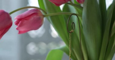 Beyaz süslü yuvarlak masa üzerinde bahar durgun, laleli retro kristal vazo, porselen melek, reçel kavanozundan yapılmış mum tutacağında yanan mum. Eski oda dekorasyonu. Mumlara odaklan