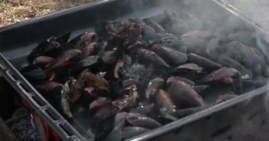 Eller, açık havada bbq ızgarasında yemek pişirirken kabuklu deniz ürünleri midyelerini kabuklara koyar. Dumanın içinden ızgaraya hazırlanan kabuklu midyelere kadar bulanık görüş. Bulanıklıktan yumuşak odaklanmaya geçiş