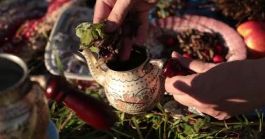 Rosehip 'le yakın plan bitki çayı yap. Elle kurutulmuş otları çaydanlığa koy. Rosaceae familyasından, Rosa cinsinin Woody çiçekleri. İki parçadan oluşan klasik Arap çaydanlığı. Doğada piknik yapıyoruz. Çay zamanı.