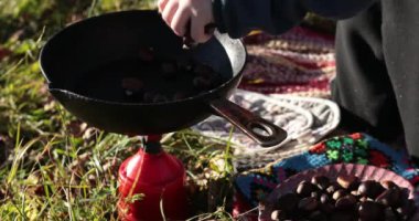 Kestane döken çocuğun elleri. Babalar demir tavayı tutarlar, böylece turist gazı ocağı düşmez. Castanea sativa, Fagaceae ailesi. Sonbaharda piknik, açık havada eğlence..