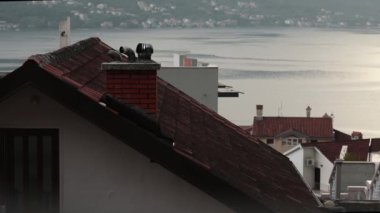 Bacalı evlerin kil kiremit kiremit çatı manzarası ve döner turbo yansıtıcılar. Koyda dalgalanan suya bakan bulanık bir arka plan. Karadağ 'ın Kotor kentindeki Dobrota yerleşim bölgesinin manzarası