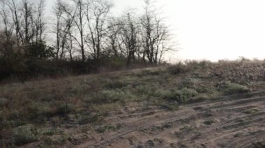 Arazinin ortasında off-road, kamera sağa dönüyor. Bozkırda kumdaki lastik izleri. Zor bir yolda yürü ve sür. Yapraksız ağaçlar, uzaktaki ağaçlar. İzleri olan bir manzara ve hiç kimse