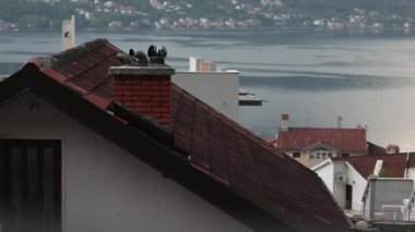 Bacaları ve dönen turbo saptırıcıları olan evlerin kil kiremit kiremit çatı görüntülerini hızlandırın. Körfezdeki dalgalı suyun bulanık arkaplanı. Karadağ 'ın Kotor kentindeki Dobrota yerleşim bölgesinin manzarası
