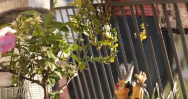 Parlak mozaik saksı yemyeşil ve dekoratif elementlerle dolu. Palyaço heykeli, balkon güneşli atmosferine cazibe katar ve harika bir açık hava kaçışı yaratır..