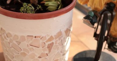 Büyüleyici bir bisiklet heykelciğinin eşlik ettiği yemyeşil bir mozaik saksının canlı bir görüntüsü..