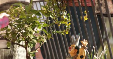 Renkli süslemeler ve canlı bitkilerle dolu güzel bir mozaik saksı hazırlarken aynı zamanda güneşli bir günde balkonda sanatsal teknikler ve yaratıcılık sergiliyor..