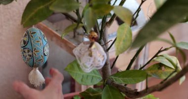 Paskalya sezonunu güzel bir Paskalya ağacını eşsiz el yapımı süslemelerle süsleyip kutlayın. Paskalya dekorunu kişisel dokunuşlarla geliştirmek için canlı Pysanka kullanmanın zevkini keşfet..