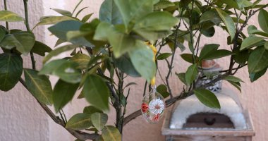 Güzel dekore edilmiş bir Paskalya ağacı, bereketli yeşil dallardan sarkan renkli süsler içerir. Baharın ve açık havada yapılan kutlamaların neşesini sembolize eder..