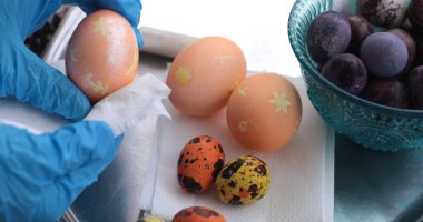 Eldivenli eller rengarenk bir Paskalya yumurtasını tutarken diğerleri yakınlarda dinleniyor. Bıldırcın yumurtaları benekli desenlerini gösterir. Şenlikli atmosfer, Paskalya hazırlığının ruhunu yansıtıyor..