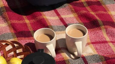 Kadın, güneşin altında piknik battaniyesinin üzerinde iki fincanda kahve karıştırıyor, rahatlatıcı atmosferin tadını çıkarırken beyaz bardaklardan kahve yudumluyor. Taze meyve sepetleri harika bir piknik deneyimi katıyor..