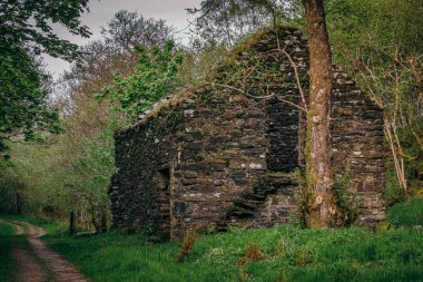 In Knapdale Forest, near the edge of Loch Coille Bharr, you can discover the remains of the township called Kilmory Oib. One of the earliest known references is in the 1694 Hearth Tax clipart