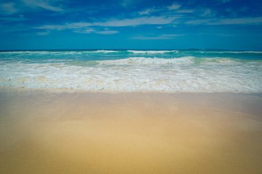 A serene coastal view of waves lapping on golden sand at Narooma Surf Beach, emphasizing tranquility. clipart