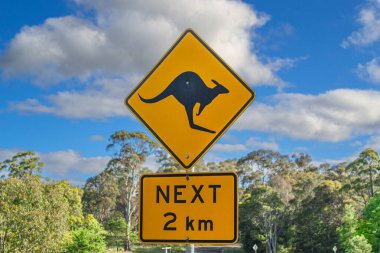 Güneşli bir günde, ağaçlar ve yeşilliklerle çevrili Avustralya 'da kırsal bir otoyolda sarı bir kanguru trafik uyarı levhası doğal yaşam alanlarında koruma ve güvenlik bilincini vurguluyor..