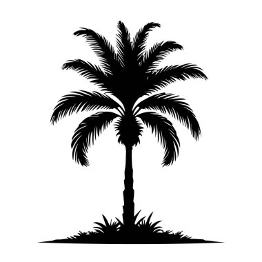 Palmiye ağacı silüeti vektör çizimi