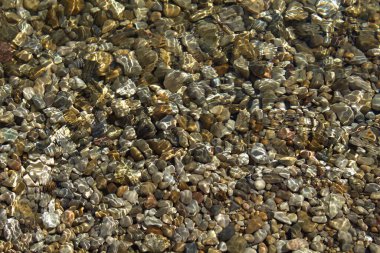 Kumsal çakıl taşları güneş parlıyor