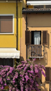 Renkli İtalyan Cephesi Pencere ve Çiçekli Bougainvillea çalısı ve Parlak Güneş Işığında Tahta Kepenkler. Ilık sarı ve turuncu renkleri olan, ahşap kaplamalı canlı bir dış duvar.