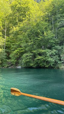 Bavyera Alpleri 'nin Serene Ormanı ve Almanya' da Sunlight 'ta Tahta Kürekli Emerald Lake Koenigsee. Canlı, yeşil bir ormanın teknesinden sakin bir manzara. Tahta küreğiyle el değmemiş bir göle yansıyor.