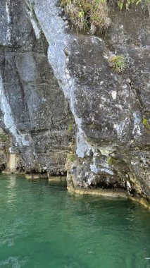 Koenigsee Gölü 'nün Zümrüt Suları' nın yukarısında yemyeşil bitkilerle Bavyera Alpleri 'nin Uçurum Yüzü. Zümrüt bir gölün üzerinde bitki örtüsüyle kaplı kayalık bir tepe Almanya 'nın Bavyera kentinin doğal güzelliğini gözler önüne seriyor. Çağrılar