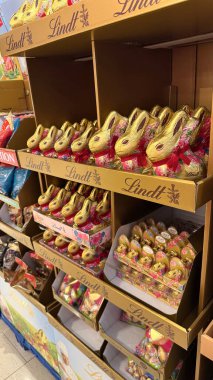 27.03.2025 Almanya: Paskalya Kutlaması İçin Bir Dükkanda Lindt Çikolatalı Tavşanların Gösterimi. Mağazadaki raflarda sergilenen altın sarısı Lindt çikolatalı tavşanlarının seçimi, şenlikli tasarımlar içeriyor.