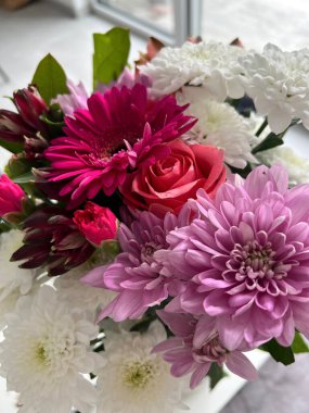 Rengarenk pembe papatya çiçekleri ve narin beyaz papatyalar ve güzel pembe gülleri olan Lila kasımpatıları zengin pembe ve beyaz renkler sergiliyor, çiğ taneleriyle parıldayan yapraklar.