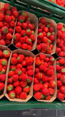 Marketteki karton tepsilerde taze paketlenmiş çilekler. Karton kutularda canlı kırmızı çilekler. Yerel bir markette güzelce paketlenmiş ve sergilenmiş. Tazelik ve kalite sergileniyor..