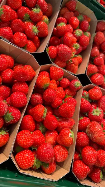 Market vitrinindeki karton tepsilerde taze çilekler. Parlak ve taze çilekler, canlı kırmızı renklerini ve yeşil bluzlarını sergiliyorlar. Pazarlar ve yiyecekler için ideal.