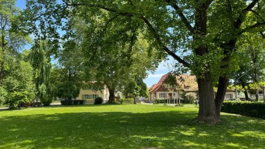 Bereketli Yeşil Ağaçları ve Modern Evleri olan Tranquil Suburban Park. Canlı yeşil ağaçların, açık otlak alanların ve sakin ve davetkar bir şekilde yayılan büyüleyici banliyö evlerinin yer aldığı huzurlu bir park manzarası.