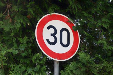 Yeşil Yaprakların Arasında 30 Hız Sınırı Levhası. Çevre ve trafik güvenliği önlemlerini vurgulayan, yemyeşil bitki örtüsüyle çevrili 30 yasaklı hız sınırı tabelası