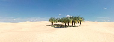 Oasis. Sandy Desert. Palm trees over the water. 3D illustration rendering