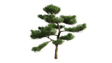 3 boyutlu illüstrasyon. Perspektif, gökdelen gökyüzüne yönelir. mavi gradyan. bina tasarımı