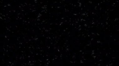 Kara Arkaplan 'a düşen üç boyutlu kar animasyonu. 4k