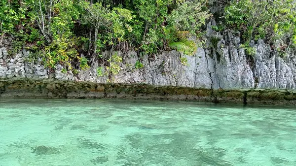 Sahil suyunun temiz ve sığ yüzeyinin güzel manzarası