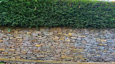 A rustic stone retaining wall with a lush green hedge growing on top. The wall is made of natural stone, with a variety of colors and textures. clipart