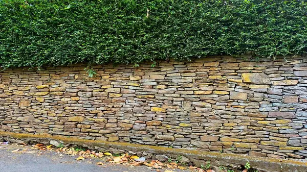 Üzerinde yemyeşil bir çit büyüyen taştan bir istinat duvarı. Duvar, çeşitli renk ve dokularla doğal taştan yapılmıştır..