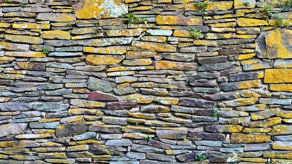 Yığılmış doğal taş duvar zemininde sarı yosun ve taşların arasındaki boşluklarda büyüyen küçük yeşil bitkiler var..