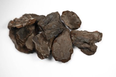 Beyaz arka planda ağaç kabuğu parçaları