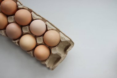 Beyaz arkaplanda karton paketteki yumurtalar.
