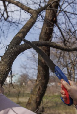 Genç bir kadın elinde testereyle ağaç kesiyor.