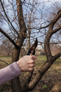 Bahçesinde budama ağacı olan kadın.