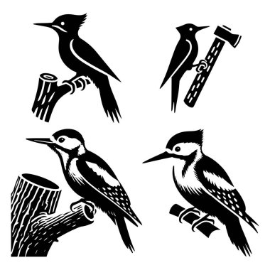 Kingfisher siluetleri logo simgesi