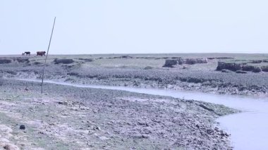 Nehir kıyısındaki köy