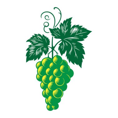 Beyaz Arkaplanda Üzüm Silueti Vektör İllüstrasyonu. Beyaz Arkaplanda Üzüm Silueti Vektörü ResmiComment.