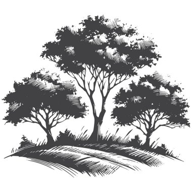 Beyaz arkaplanda Ağaçlar Siluet vektörü.