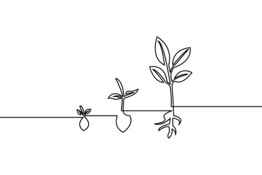 Bitkilerin büyümesini ve gelişimini gösteren kesintisiz çizgiler tek renkli yaprak ve kökleri olan tohumlardan olgun bitkilere evreler gösteriyor.
