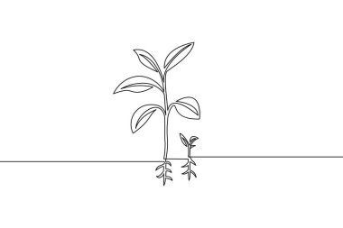 Doğada ve tarımda büyümeyi ve gelişmeyi gösteren minimalist bitkilerin sürekli çizimi