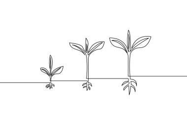 Büyüme ve gelişim kavramı, hayatın evrelerini gösteren üç bitkinin sürekli çizgi çizimiyle betimlenmiştir.