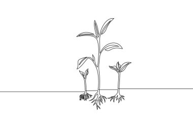 Kökten doğayı ve yaşamı temsil eden yapraklara kadar üç bitkinin büyümesini ve gelişmesini tasvir eden basit bir çizgi sanatı.
