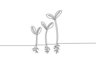Gelişmeyi ve gelişimi gösteren bitkilerin minimalist bir tarzda düz beyaz bir arkaplana karşı sürekli çizimi