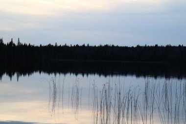 Suyun yansımasıyla sonbaharda güzel bir manzara. Akşamları huzurlu ve sakin bir ortam, göl ve güzel bir gökyüzü. Doğa ve parkın çevresi ve korunumu.