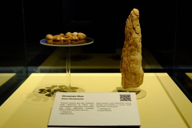 Pacitan, Endonezya - 2 Kasım 2024: Geleneksel bir Cava silahı olan keris, Endonezya 'nın Pacitan kentindeki Müze Song Terus' ta sergilenmektedir..